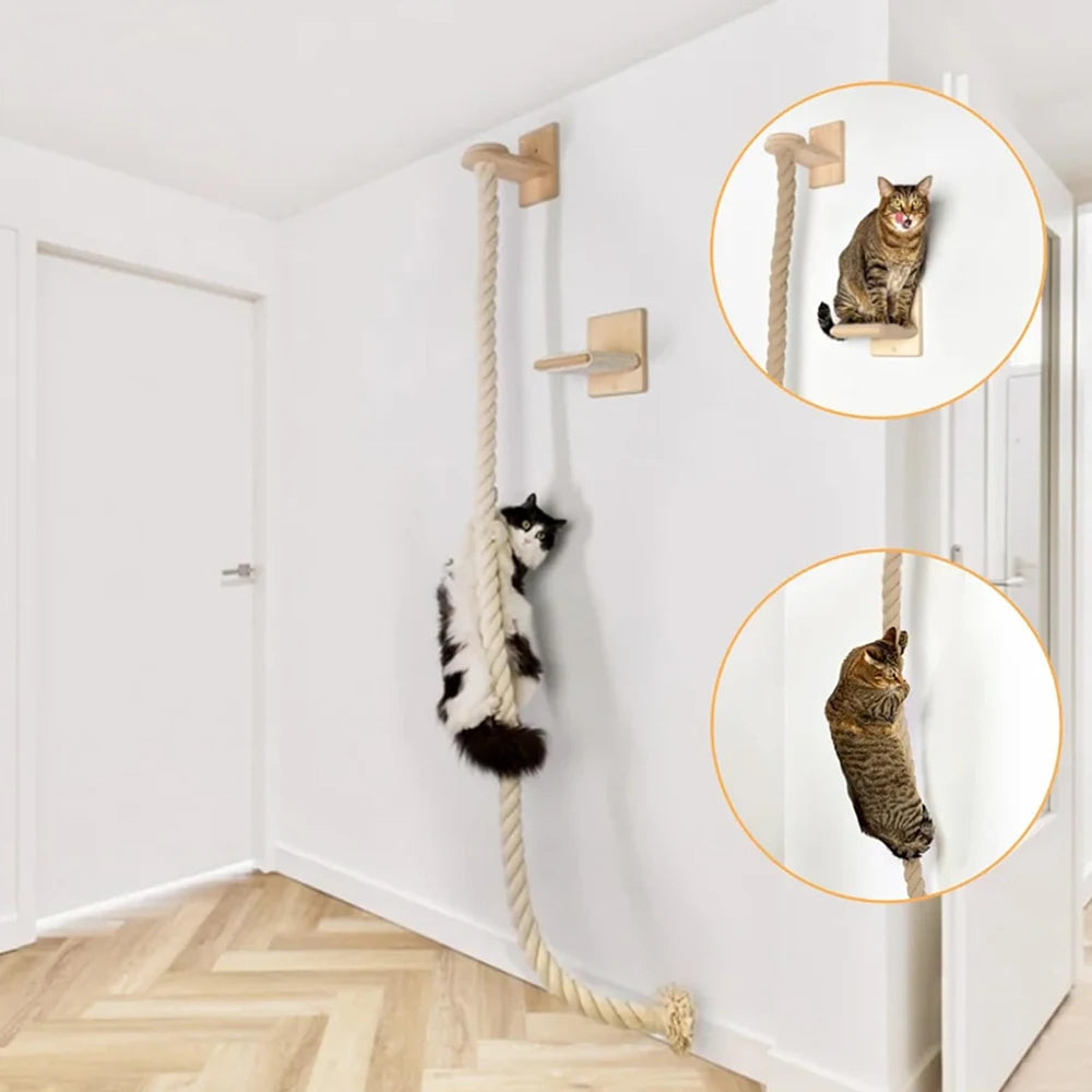 Wall-Mounted Cat Climbing Shelf & Rope Tree – Indoor Activity Gym