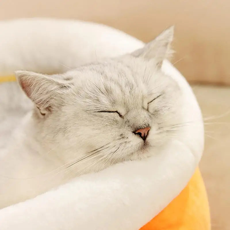 Winter Warm Plush Cat & Pet Bed