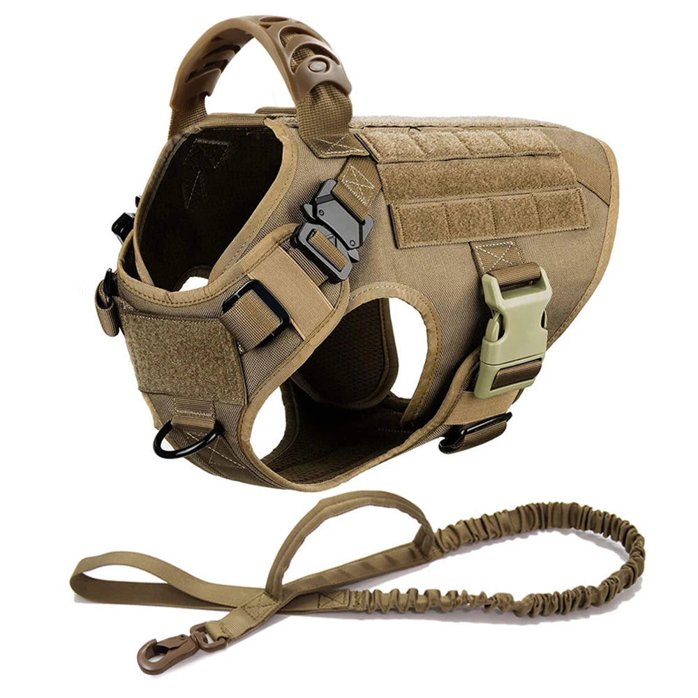 PETRAVEL LED Nylon Dog Harness & Leash – Night Safety Gear