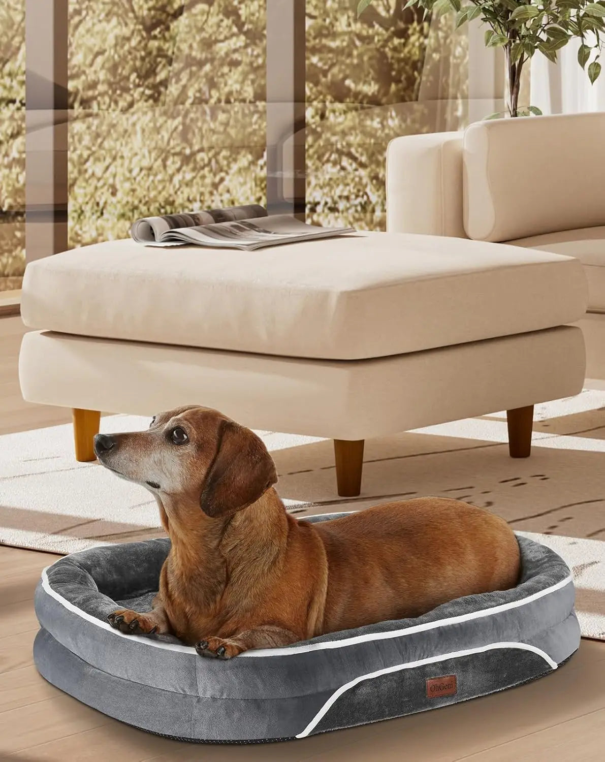 Orthopedic Dog Bed with Bolsters for Large Pets