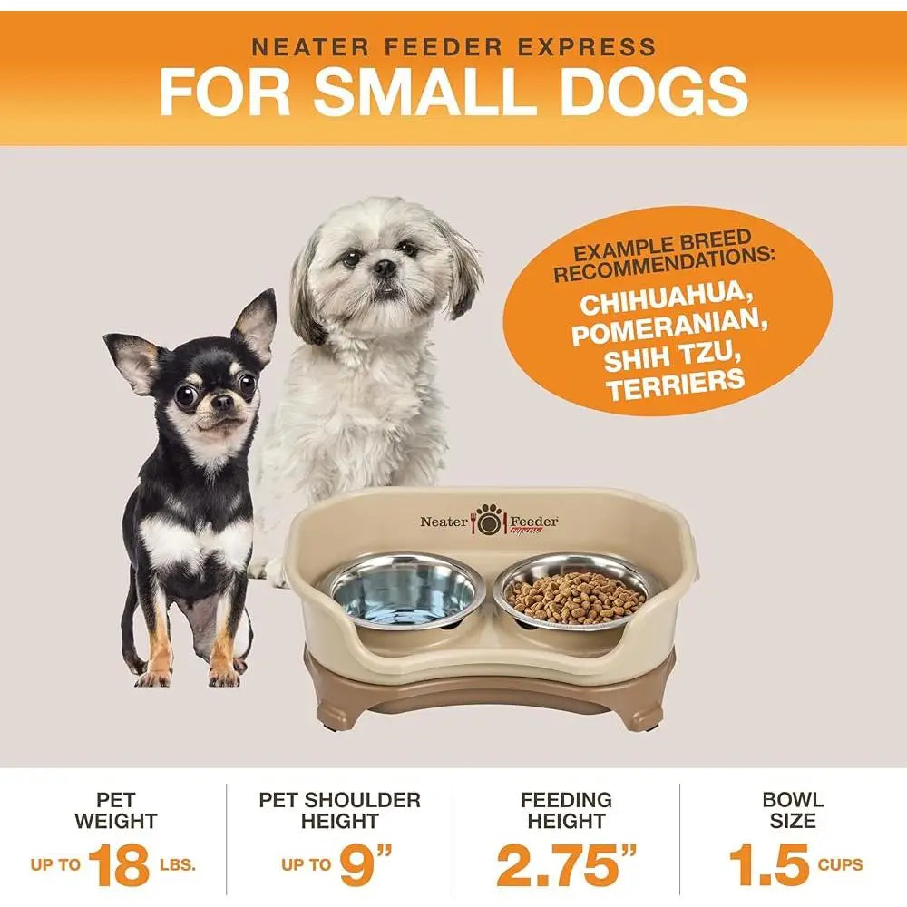 Mess-Proof Elevated Non-Spill Dog Bowl
