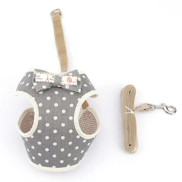 Cute Nylon Mesh Dog & Cat Harness Leash Set