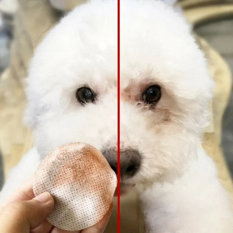 130Pcs Pet Eye Wipes – Tear Stain Remover for Dogs & Cats