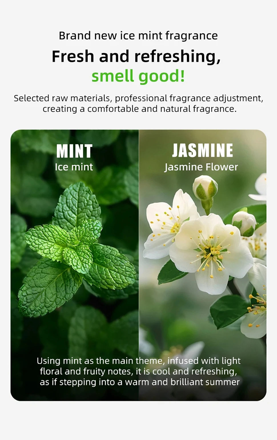 PETKIT Deodorant Cubes – 50 Pack for Litter Box Odor Control