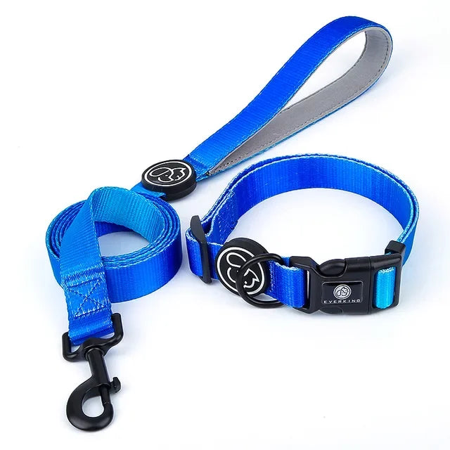 Gradient Color Dog Collar & Leash Set with Luxury Harness