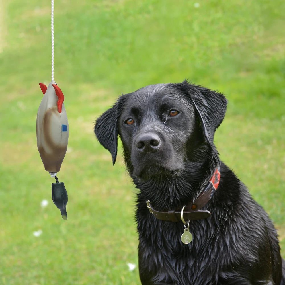 Dog Training Fake Duck Retrieval Toy
