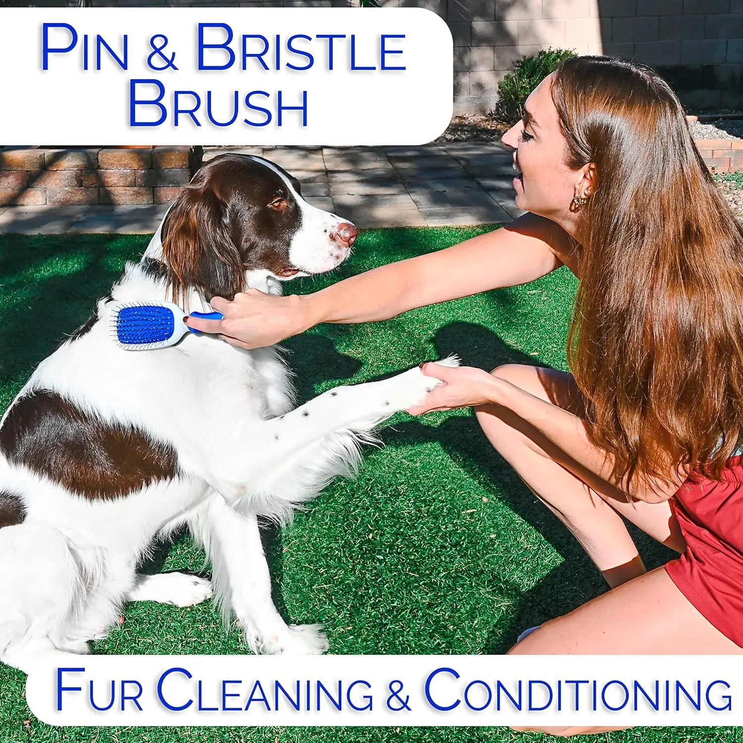 Premium Dog Grooming Brush Set
