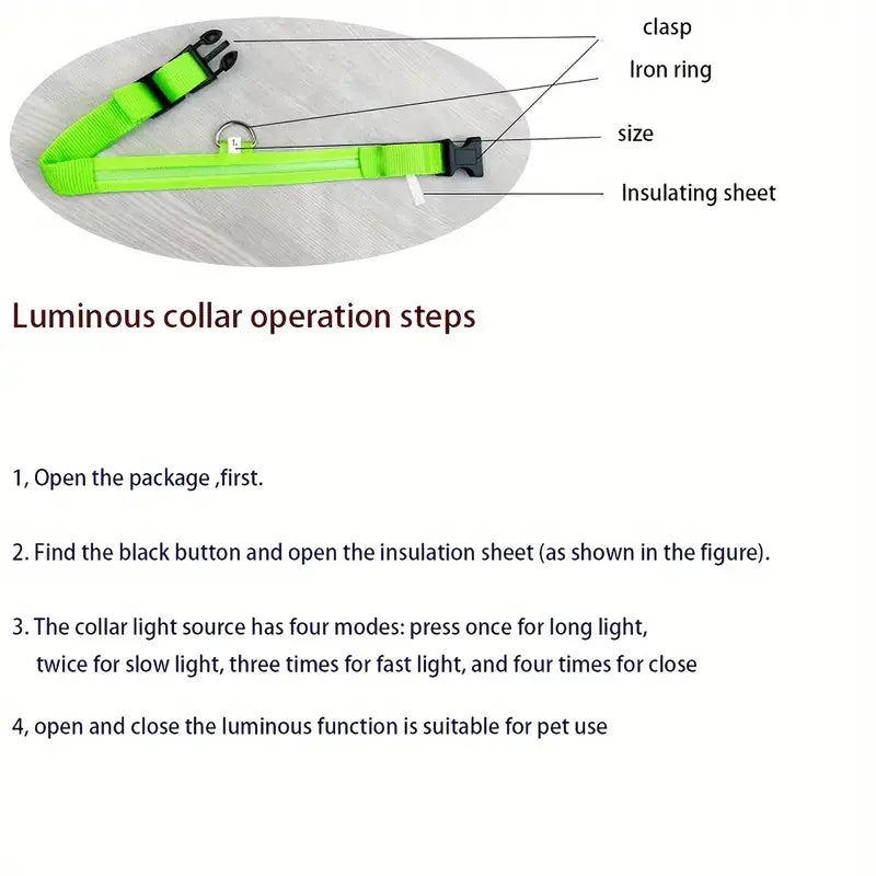 LED Glow in the Dark Dog Leash & Collar – Nylon Night Safety Gear