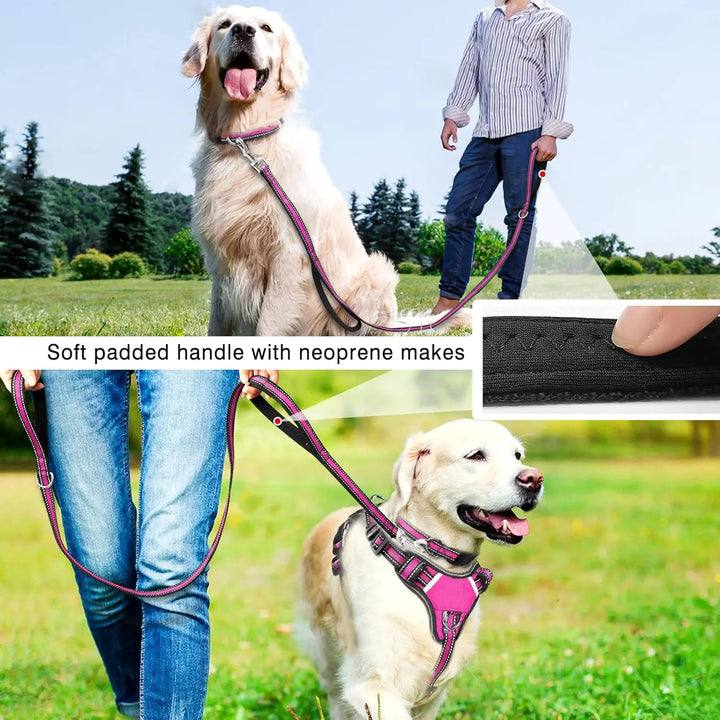 All-in-One Reflective No-Pull Dog Harness Set