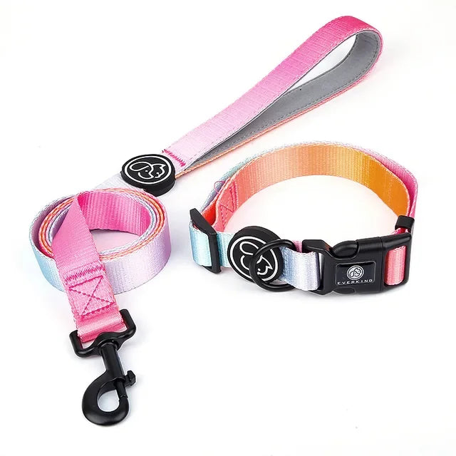 Gradient Color Dog Collar & Leash Set with Luxury Harness