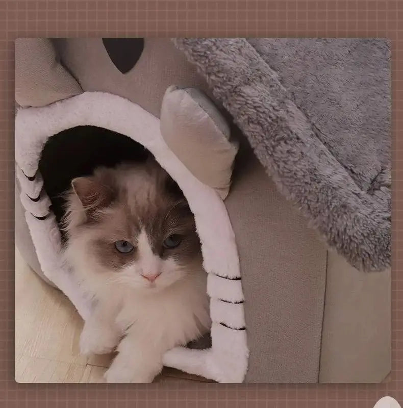 All-Season Washable Pet Bed with Cushion