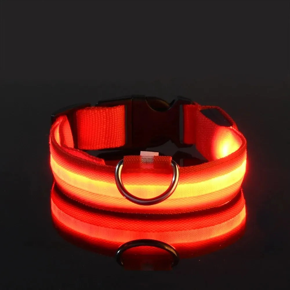 LED Glow in the Dark Dog Leash & Collar – Nylon Night Safety Gear