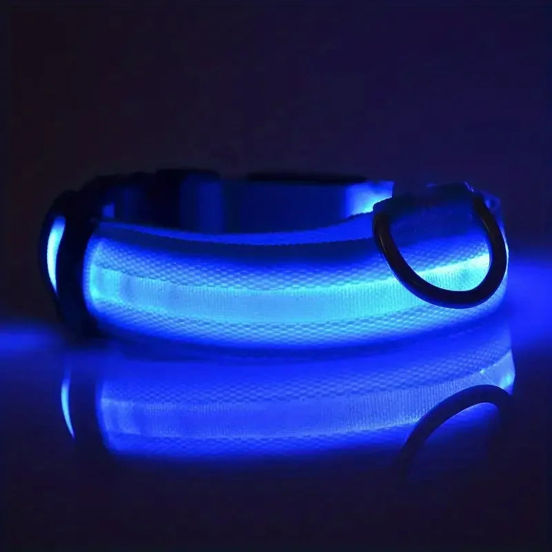 LED Glow in the Dark Dog Leash & Collar – Nylon Night Safety Gear