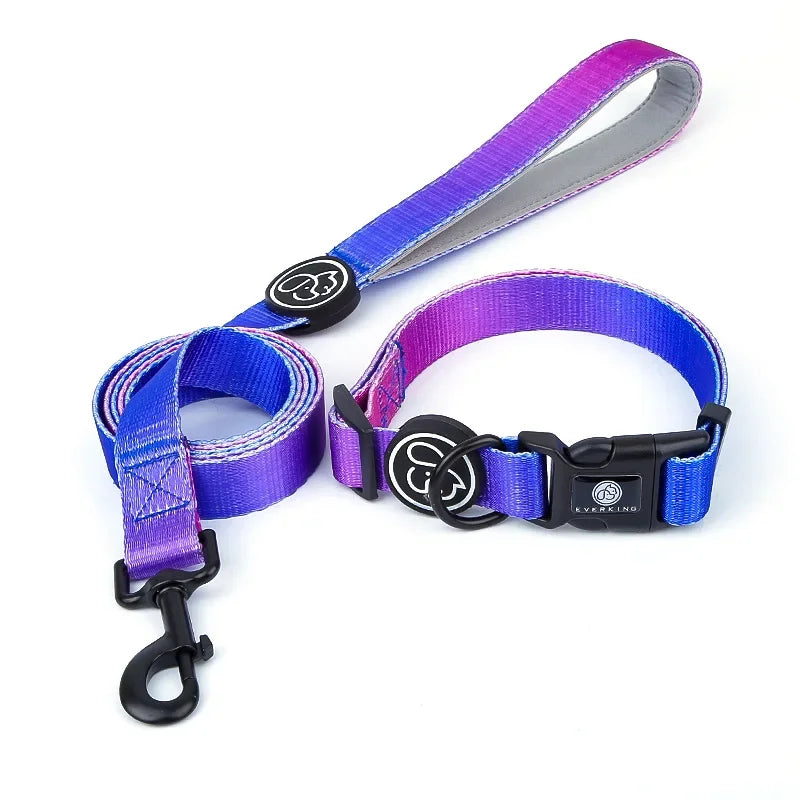 Gradient Color Dog Collar & Leash Set with Luxury Harness