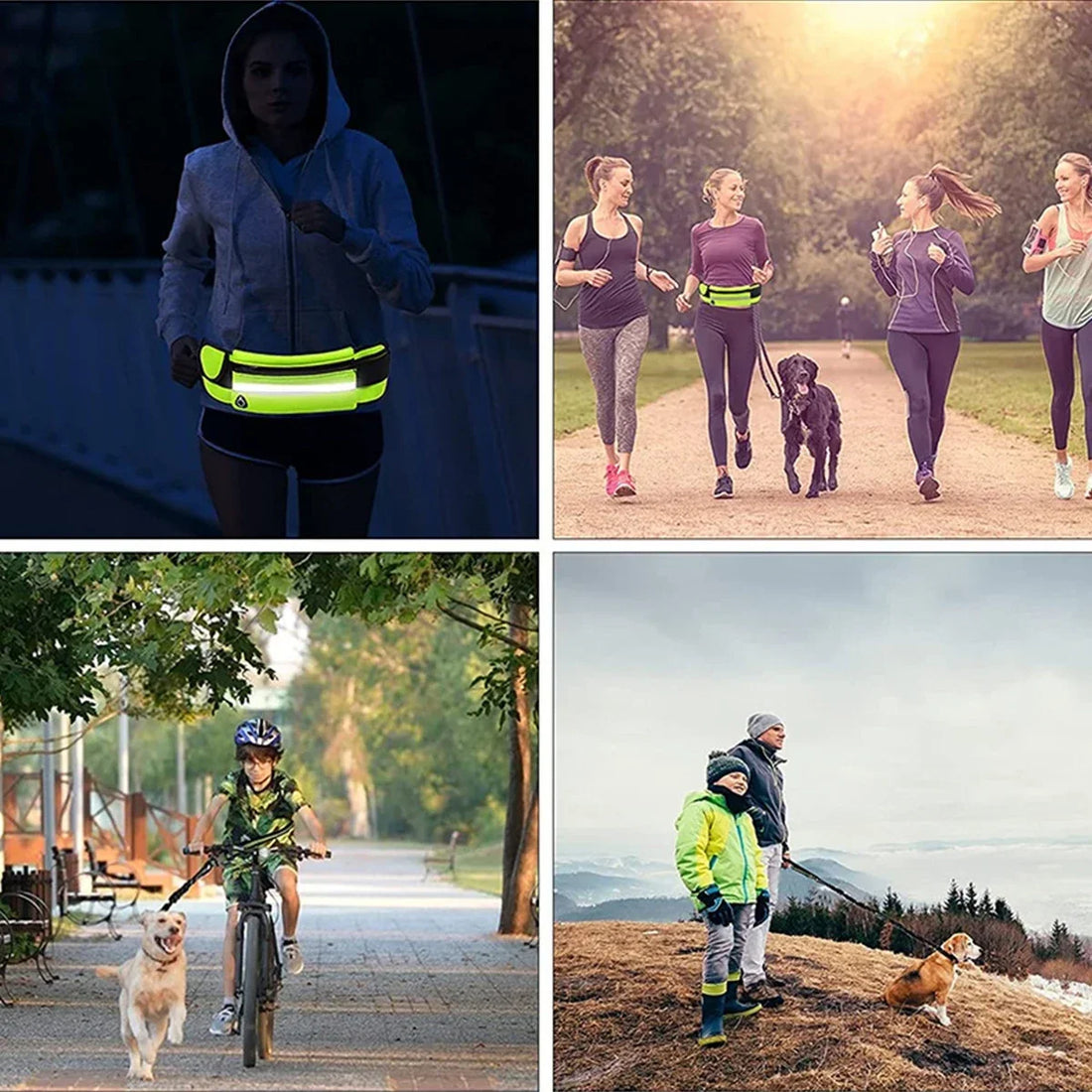 Hands-Free Reflective Dog Leash with Waist Bag