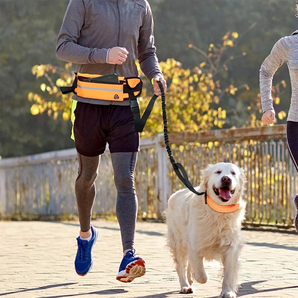 Hands-Free Reflective Dog Leash with Waist Bag