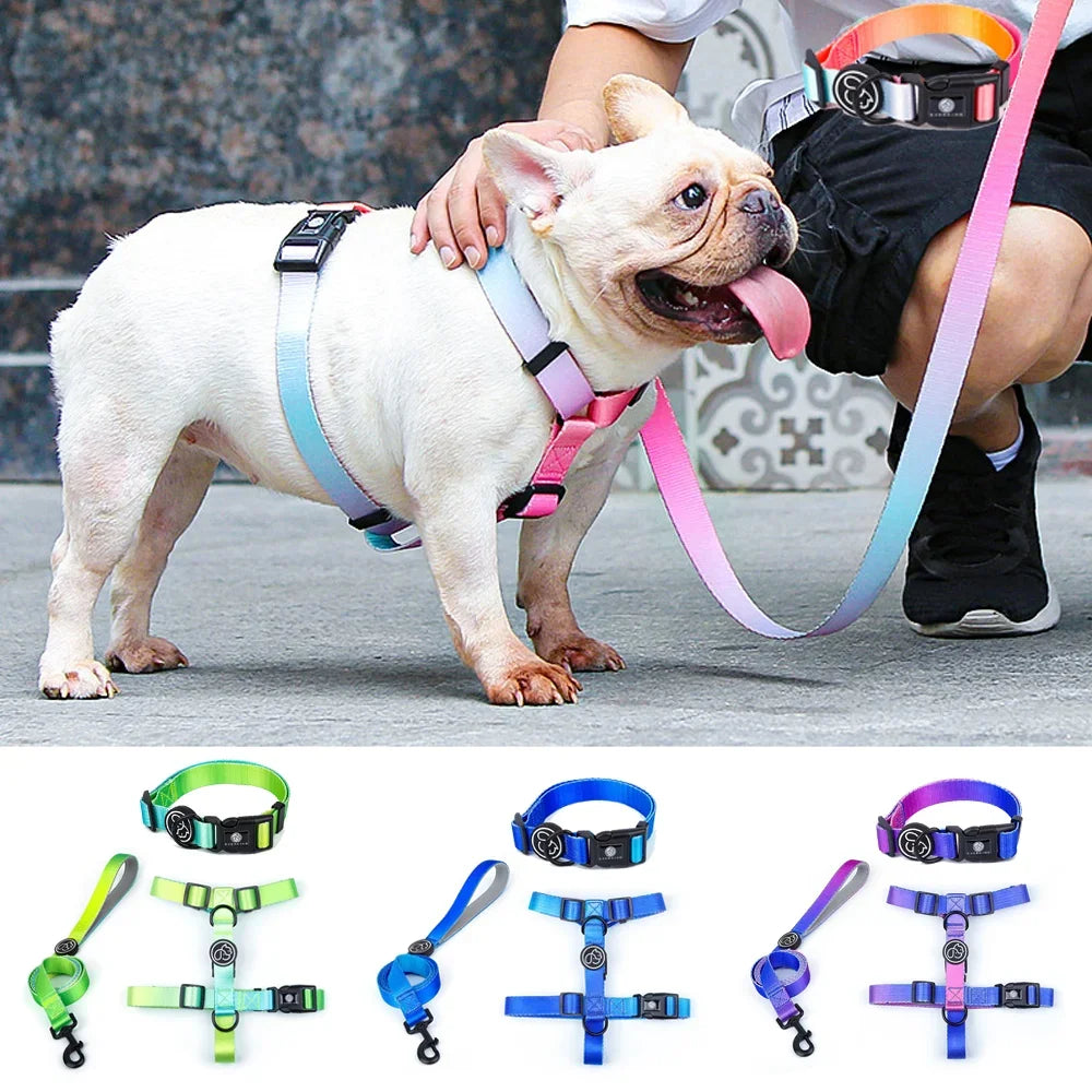 Gradient Color Dog Collar & Leash Set with Luxury Harness