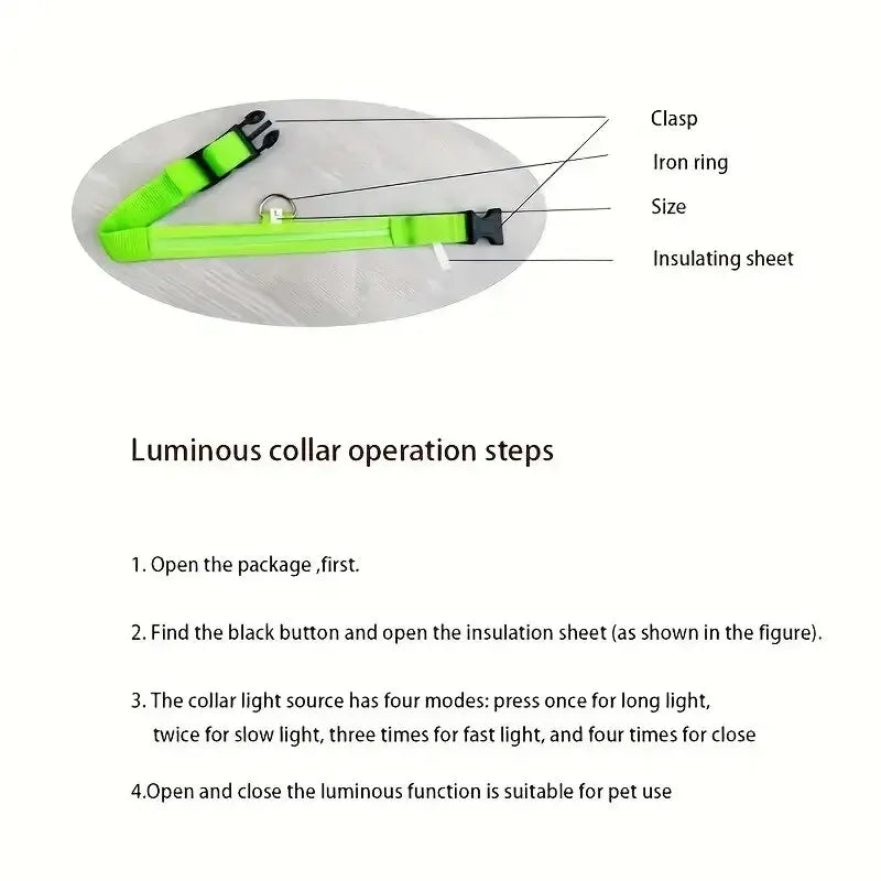 LED Glow in the Dark Dog Leash & Collar – Nylon Night Safety Gear