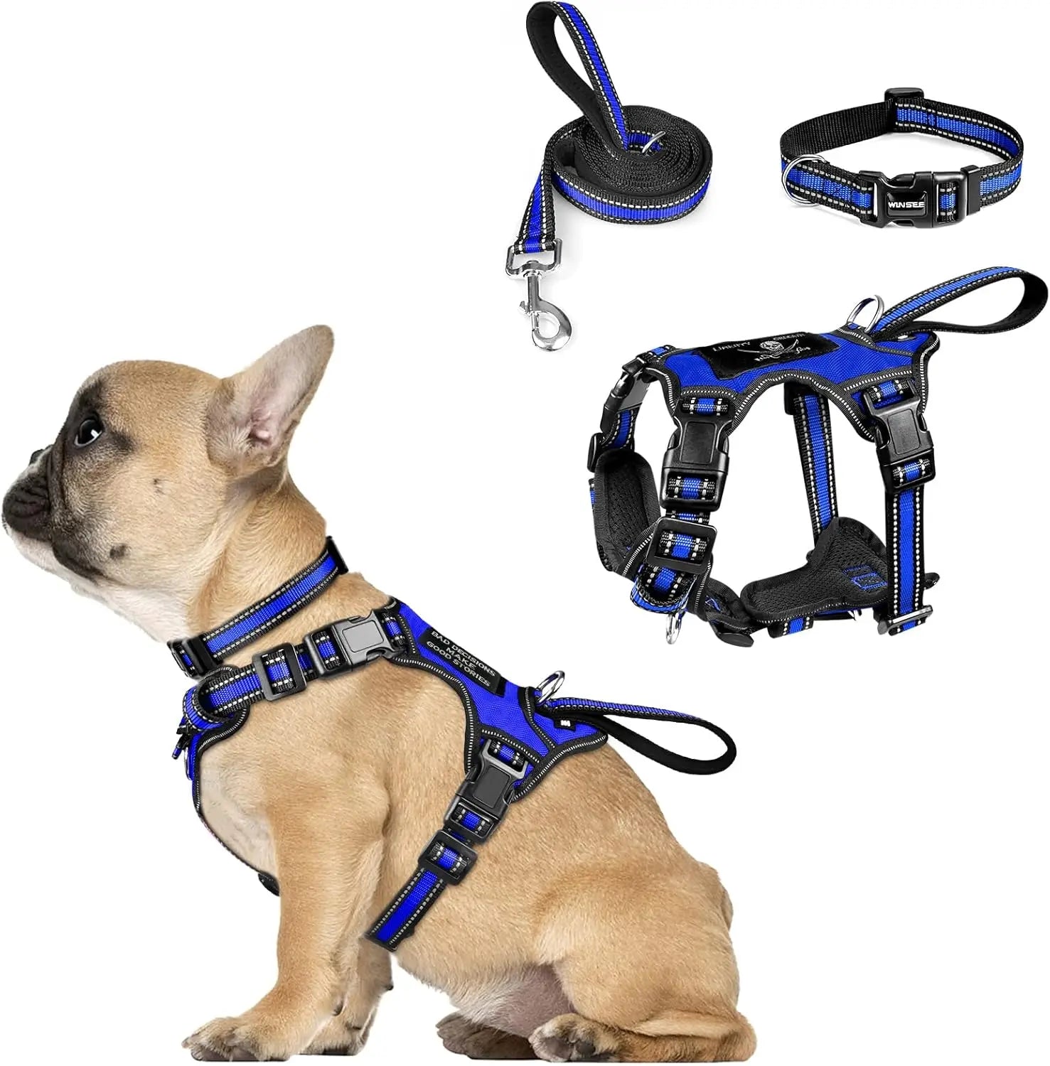 All-in-One Reflective No-Pull Dog Harness Set