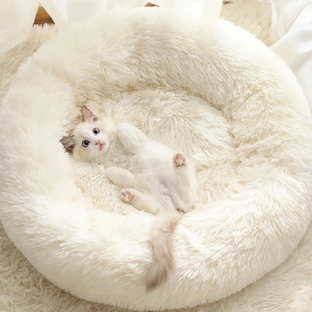 Ultra Soft Donut Dog & Cat Bed