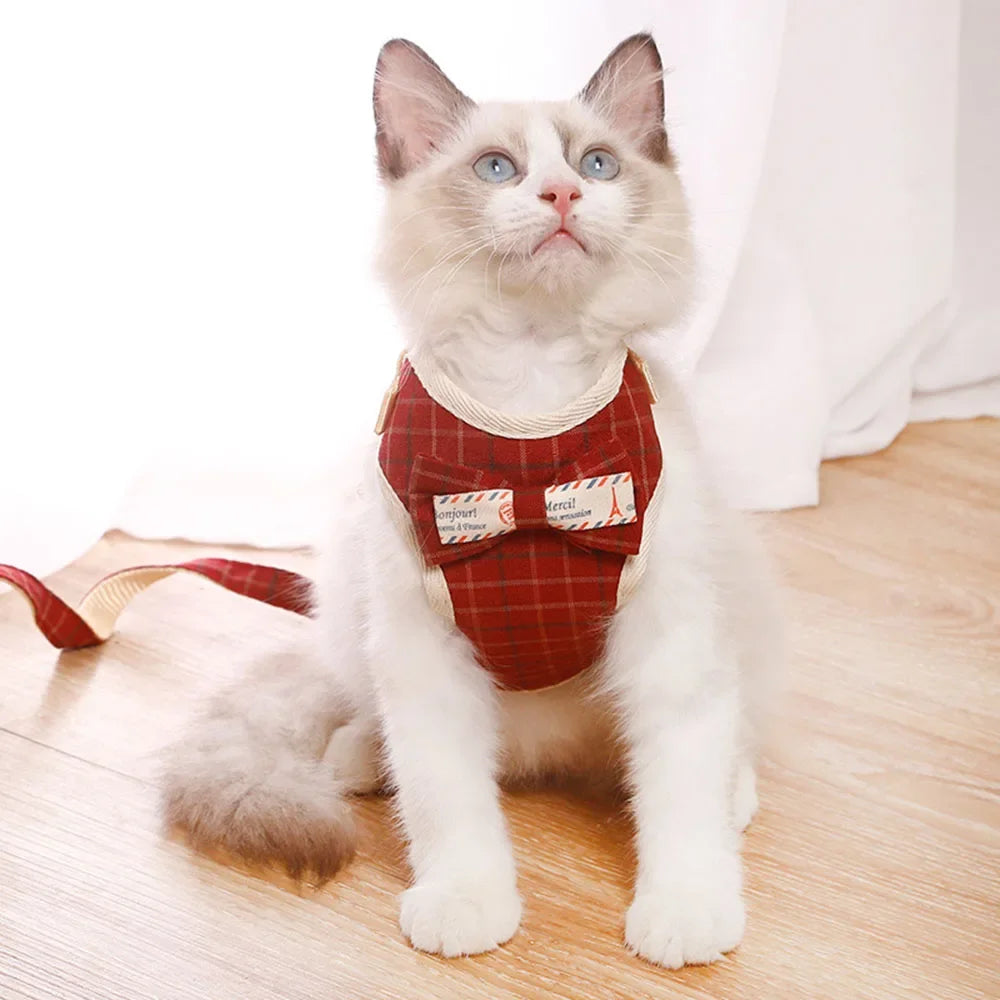 Cute Nylon Mesh Dog & Cat Harness Leash Set