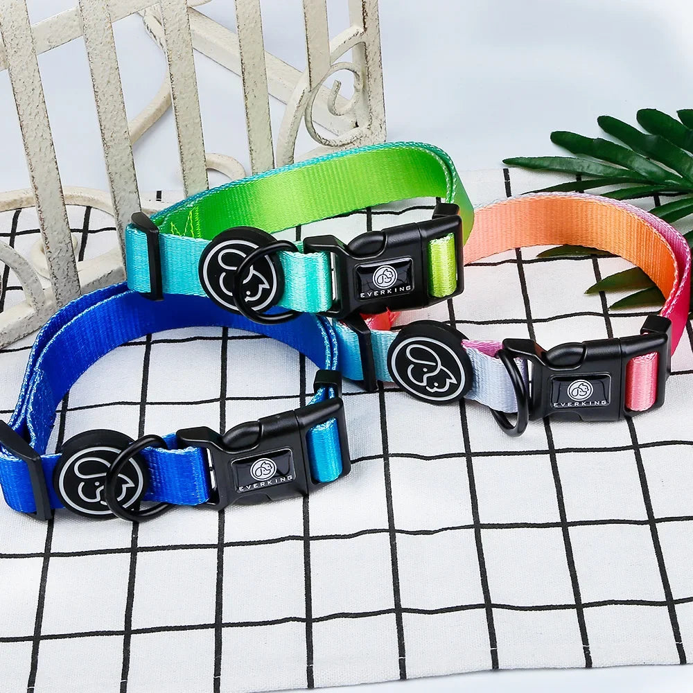 Gradient Color Dog Collar & Leash Set with Luxury Harness