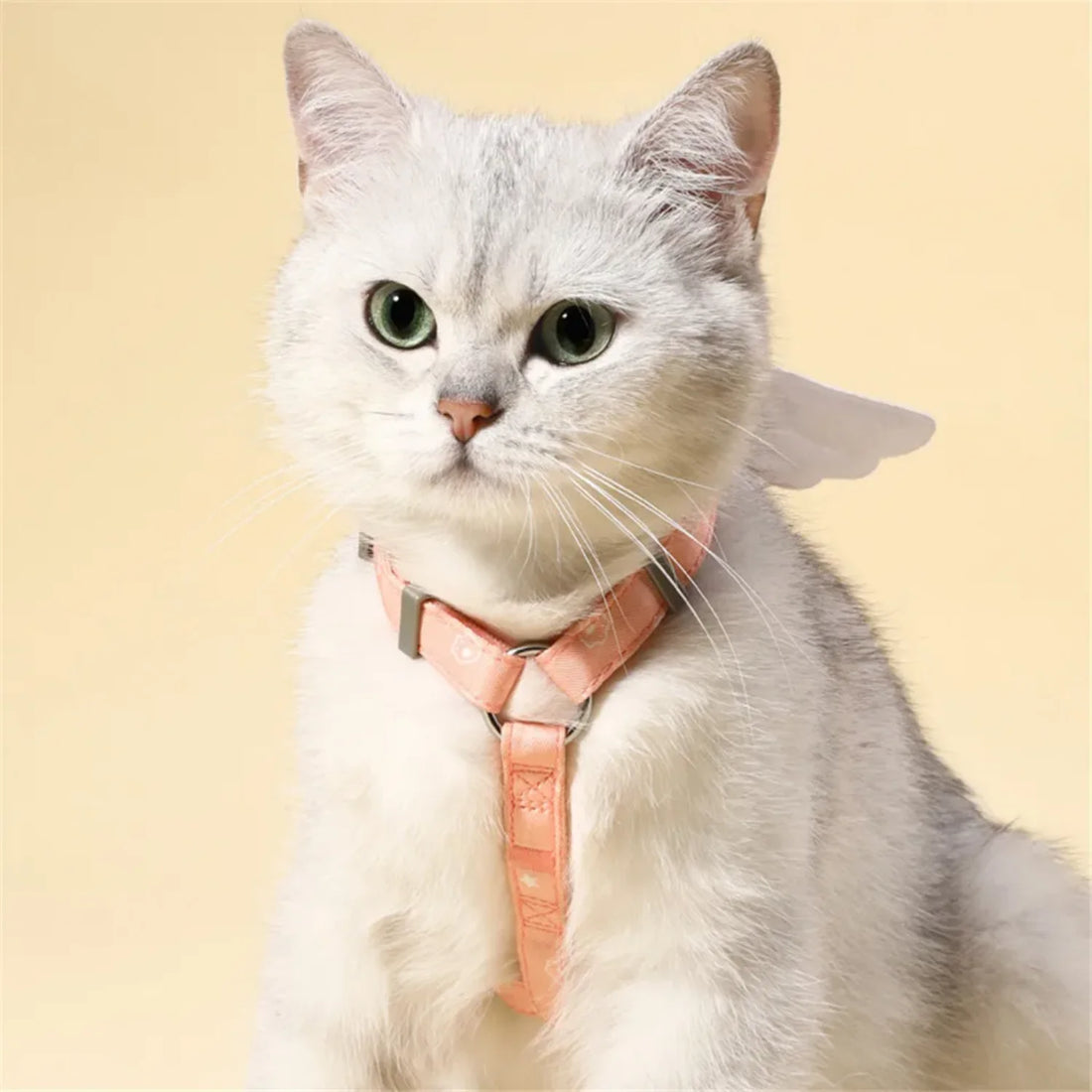 Sweet Angel Wing Cat & Dog Harness with Leash