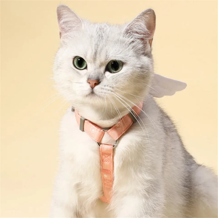 Sweet Angel Wing Cat & Dog Harness with Leash