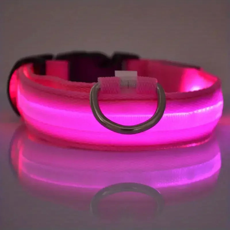 LED Glow in the Dark Dog Leash & Collar – Nylon Night Safety Gear