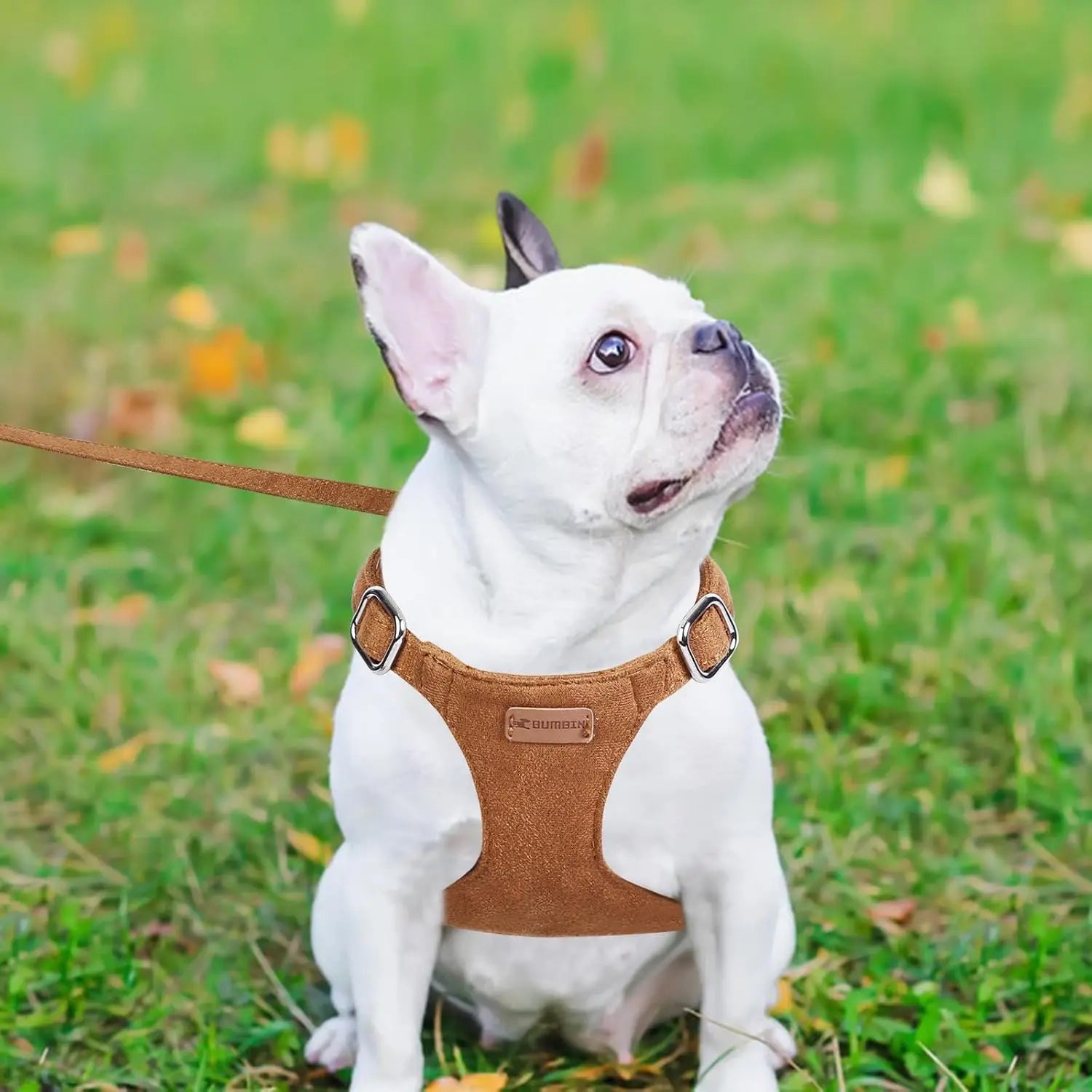 No-Pull Adjustable Dog Harness & Leash Set