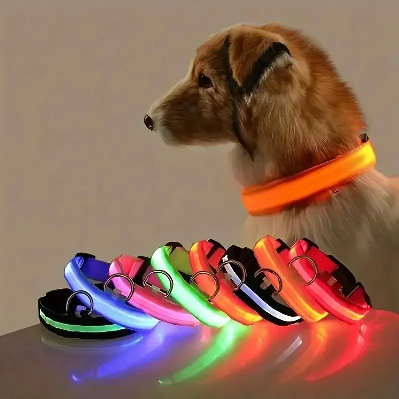 LED Glow in the Dark Dog Leash & Collar – Nylon Night Safety Gear