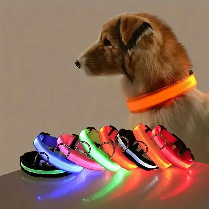 LED Dog Leash – Nylon Night Safety Glow in the Dark Leash