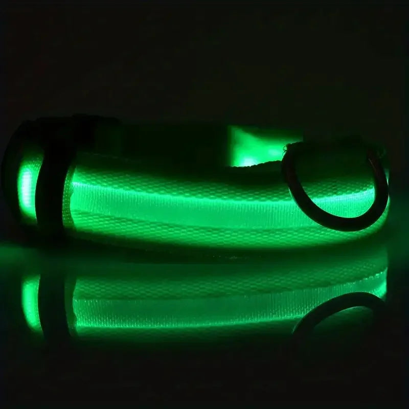 LED Glow in the Dark Dog Leash & Collar – Nylon Night Safety Gear