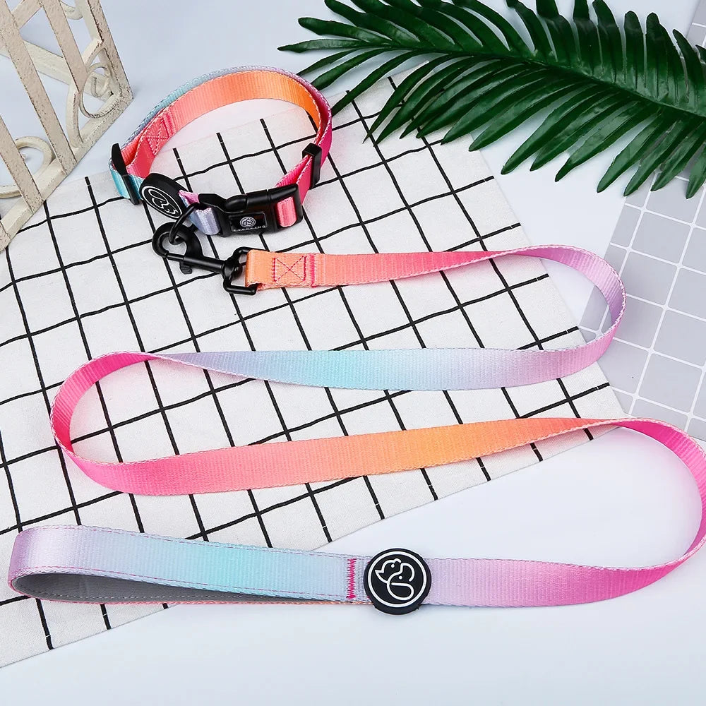 Gradient Color Dog Collar & Leash Set with Luxury Harness