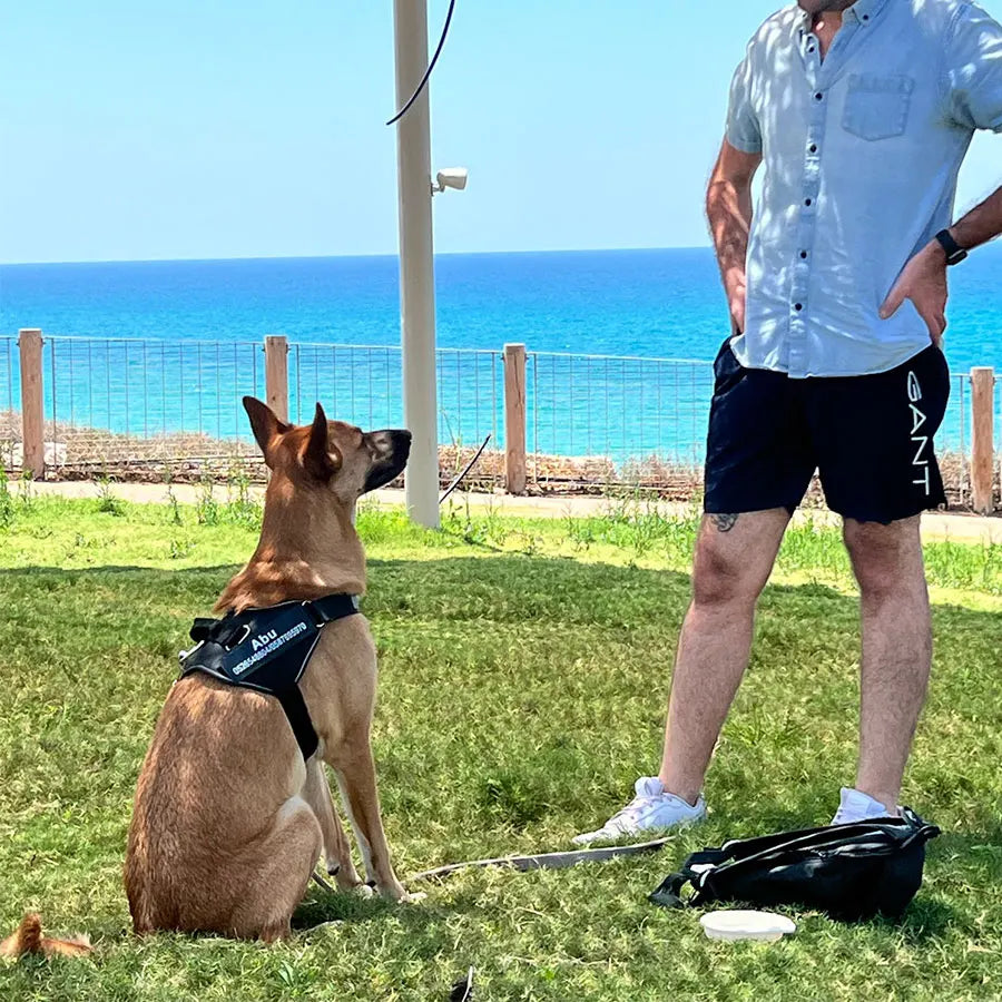 Customizable Reflective No-Pull Dog Harness Vest