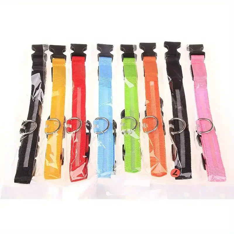 LED Glow in the Dark Dog Leash & Collar – Nylon Night Safety Gear