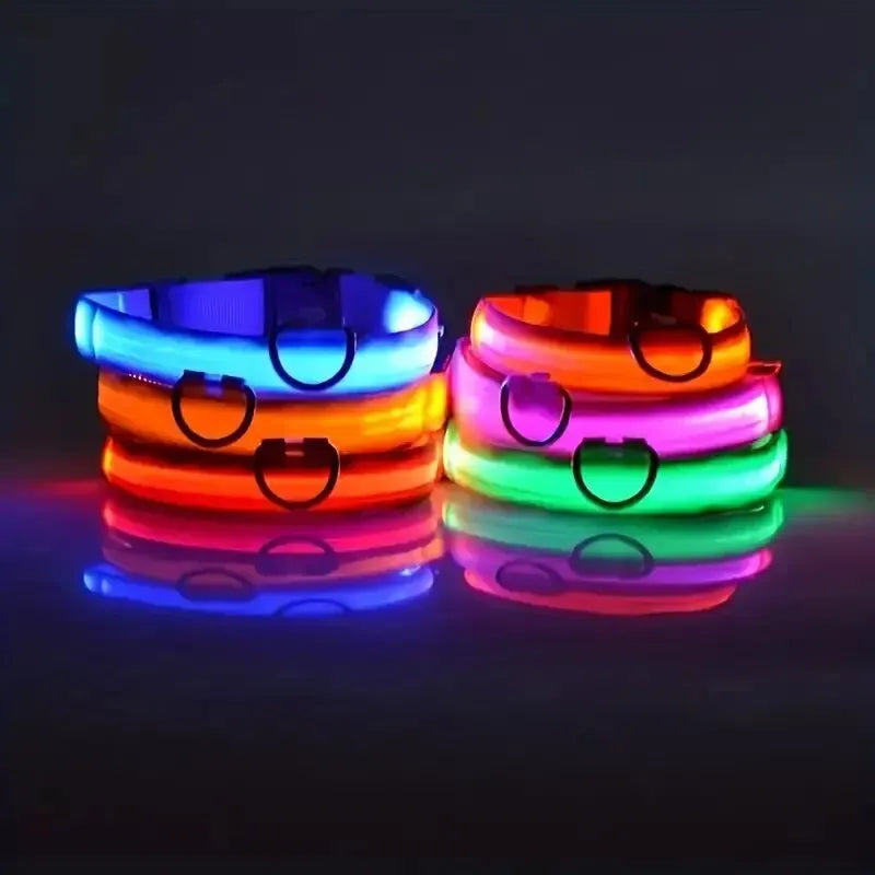 LED Glow in the Dark Dog Leash & Collar – Nylon Night Safety Gear