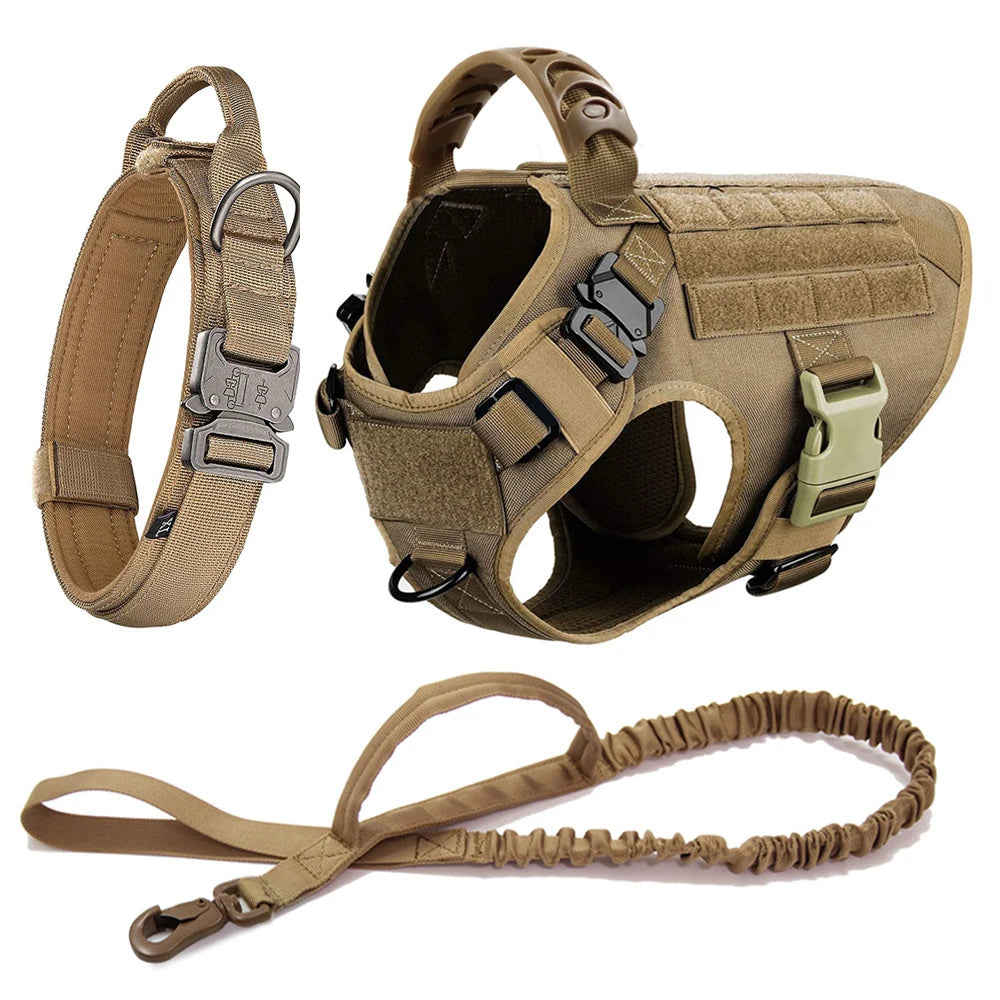 PETRAVEL LED Nylon Dog Harness & Leash – Night Safety Gear
