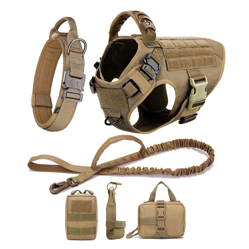 PETRAVEL LED Nylon Dog Harness & Leash – Night Safety Gear