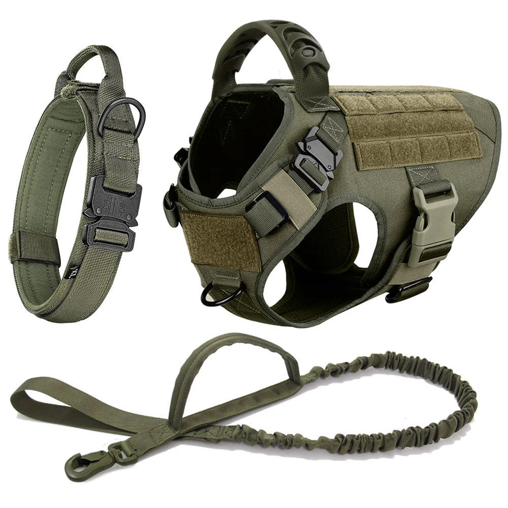 PETRAVEL LED Nylon Dog Harness & Leash – Night Safety Gear