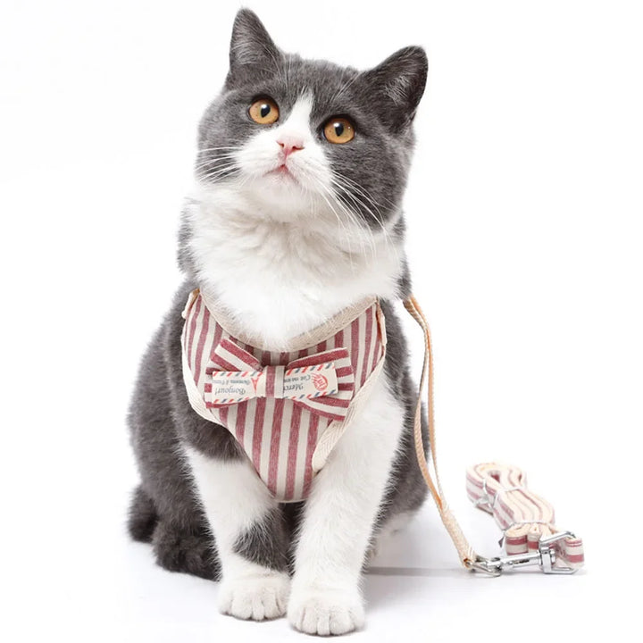 Cute Nylon Mesh Dog & Cat Harness Leash Set